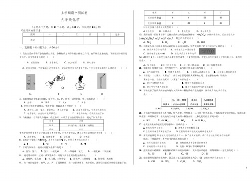 九年级化学下册期中考试试题及答案