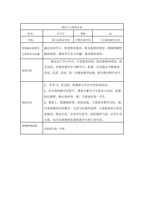 我的个人研修计划