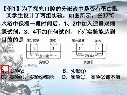 酶的相关实验课件.ppt