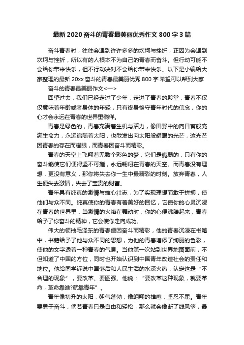 最新2020奋斗的青春最美丽优秀作文800字3篇