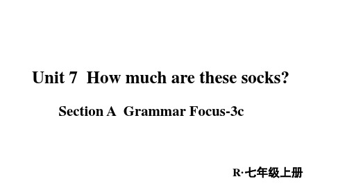 人教新目标版七上英语Unit 7 Section A Grammar Focus-3c 课件