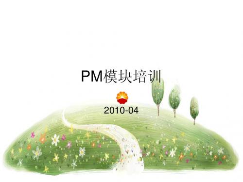 20100年4月pm模块培训讲义