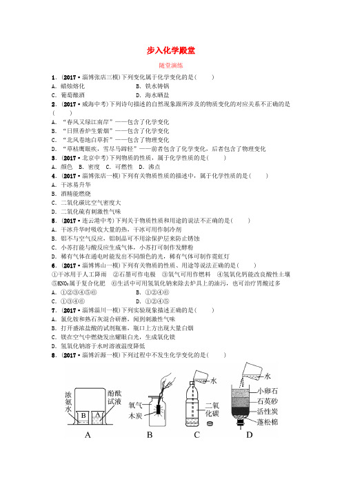 鲁教版2019年中考化学复习八年级全套随堂演练