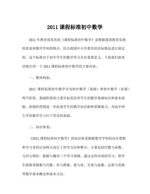 2011课程标准初中数学