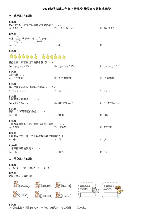 2024北师大版二年级下册数学暑假练习题趣味数学