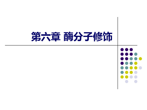 第六章_酶分子修饰