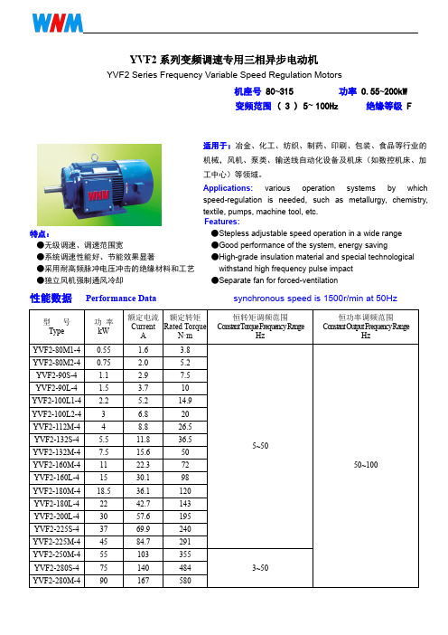 皖南变频电机YVF2