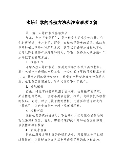 水培红掌的养殖方法和注意事项2篇