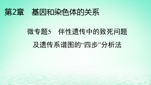 2024春高中生物第2章 微专题5伴性遗传中的致死问题及遗传系谱图的“四步”分析法课件新人教版必修2