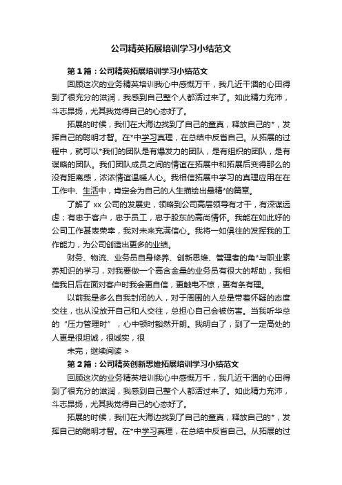 公司精英拓展培训学习小结范文