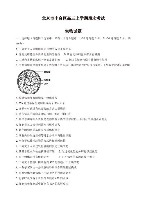 [好卷]2019-2020年北京市丰台区高三上学期期末考试生物试卷(有答案) (2)