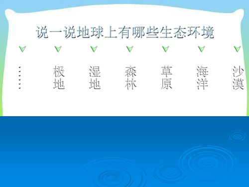 小学科学六年级科学下册课件4.2 有利于生存的本领(苏教版) (23张)