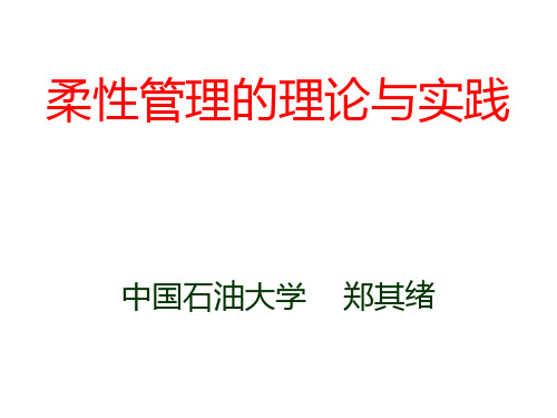 柔性管理的理论与实践