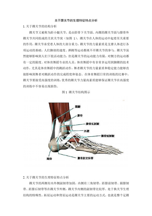 关于踝关节的生理特征特点分析