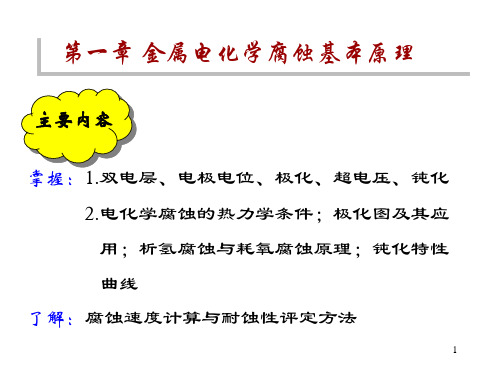 第一章 金属电化学腐蚀基本原理