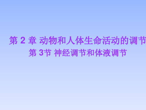 神经调节与体液调节的关系(上课用)教学精品PPT课件