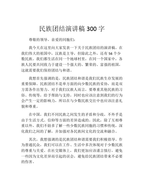 民族团结演讲稿300字