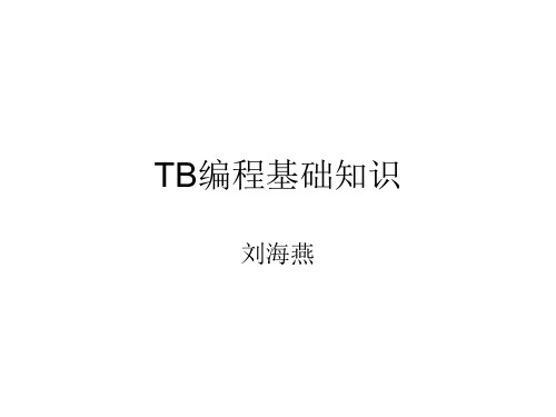 TB编程基础知识