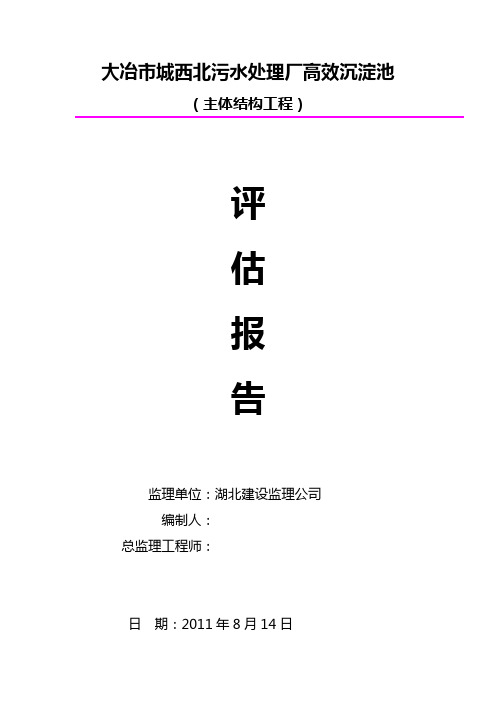 高效沉淀池评估报告