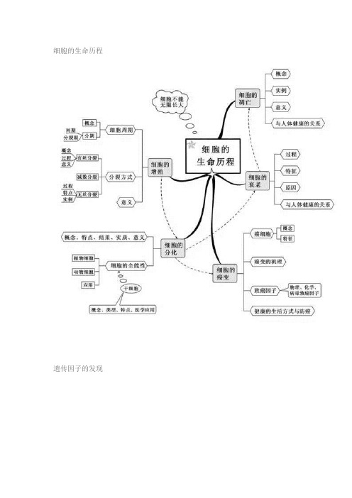 (完整word版)高中生物重点章节思维导图二