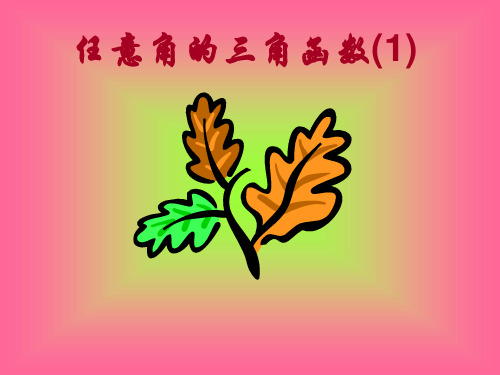 1.2任意角的三角函数((不知年级))全面版