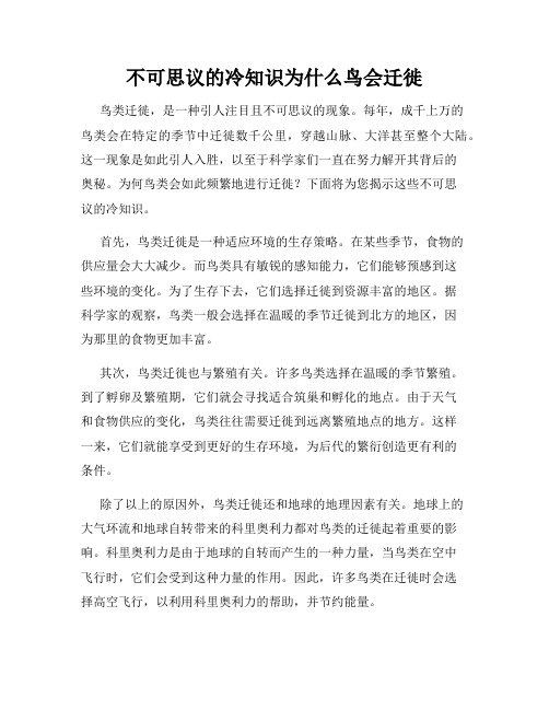 不可思议的冷知识为什么鸟会迁徙