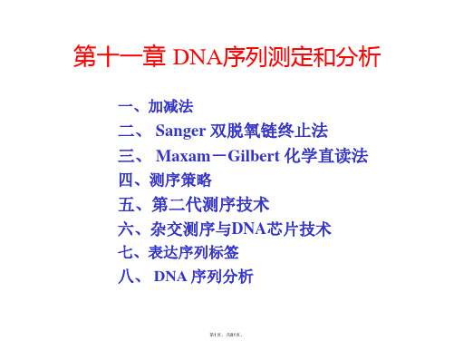 10第十一章DNA序列测定和分析