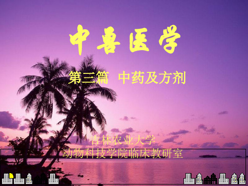 中药解表剂