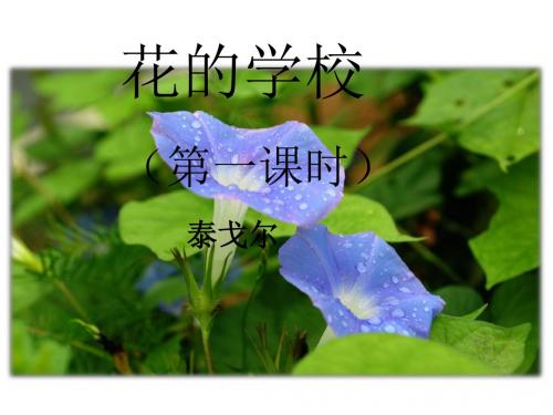 人教部编版三年级上册语文 课件:2花的学校