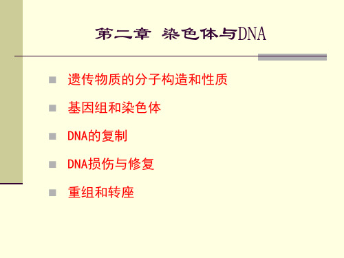 分子生物学：遗传物质的分子结构和性质