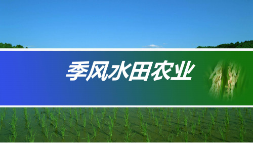 人教版高中地理必修二3.2《季风水田农业》课件(共14张PPT)