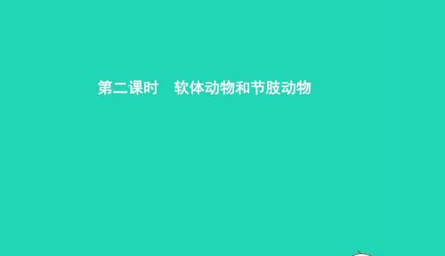 七年级生物上册2.2.1无脊椎动物的主要类群第2课时软体动物和节肢动物课件新版济南版20190119150