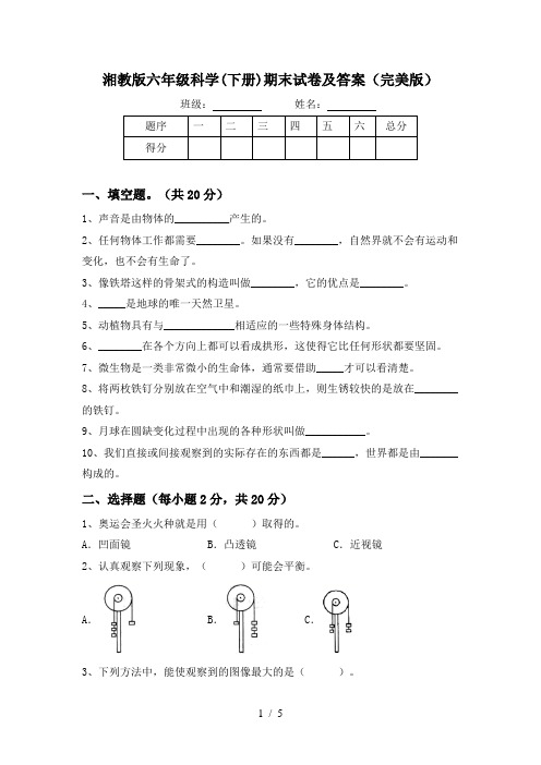 湘教版六年级科学(下册)期末试卷及答案(完美版)