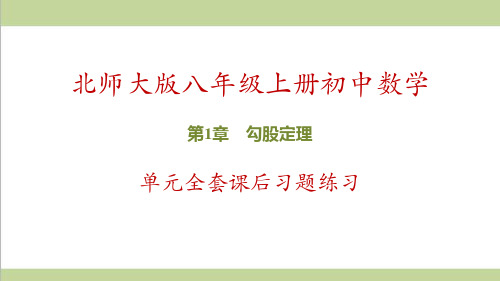 北师大版初二上册数学 第1章 勾股定理 全章重点习题练习课件