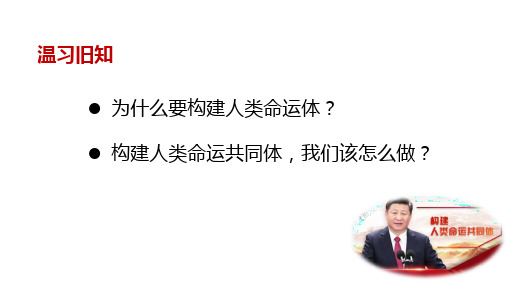 人教版《道德与法治》九年级下册3.1中国担当 优秀课件(51张幻灯片)