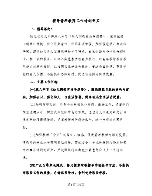 指导青年教师工作计划例文（四篇）