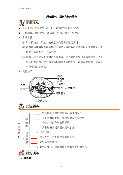 探究题01--《观察鸟卵的结构》实验专题(原卷版)