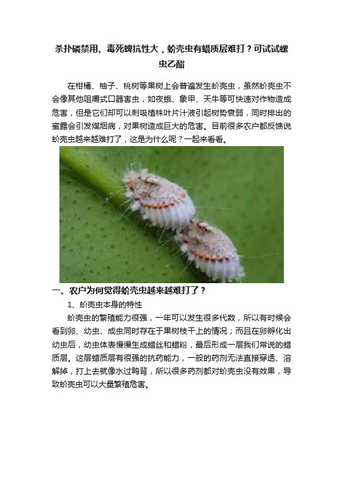 杀扑磷禁用、毒死蜱抗性大，蚧壳虫有蜡质层难打？可试试螺虫乙酯