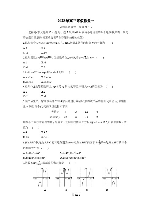 2023年高三数学寒假作业01(Word含答案解析)