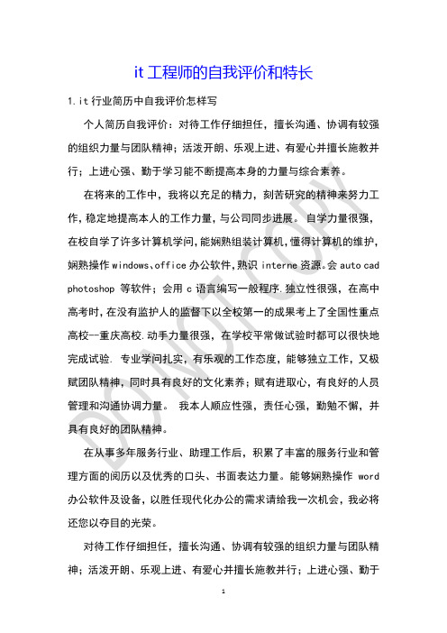 it工程师的自我评价和特长