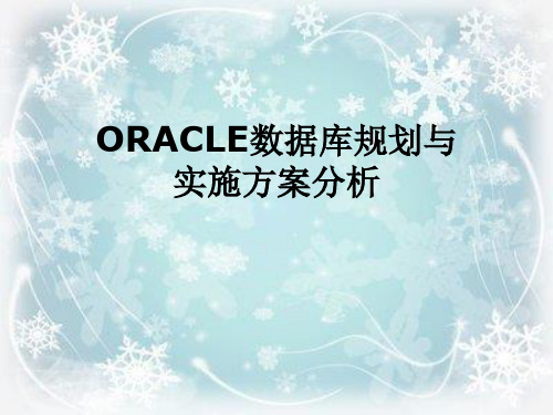 ORACLE数据库规划与实施方案分析