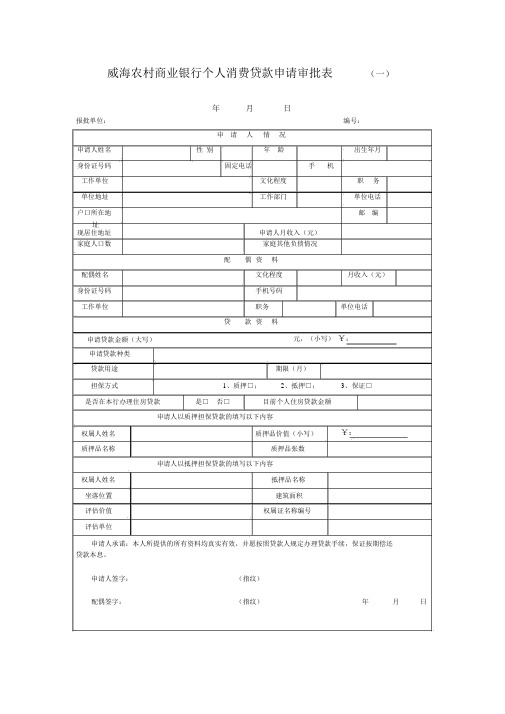 消费贷款申请表