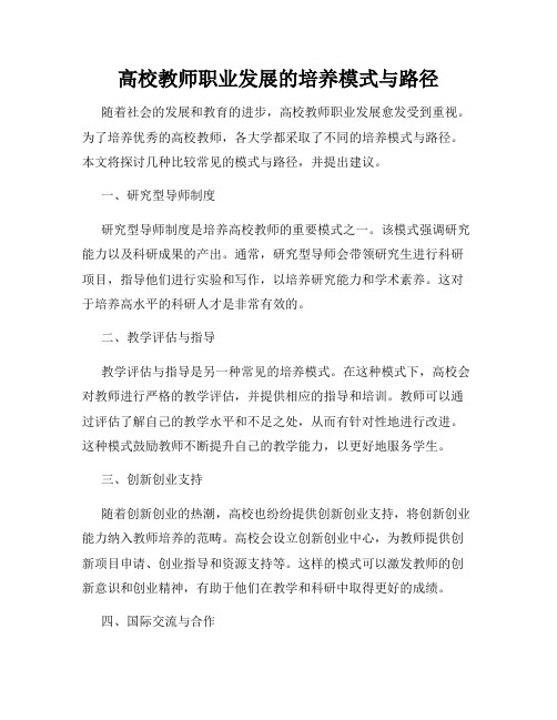 高校教师职业发展的培养模式与路径