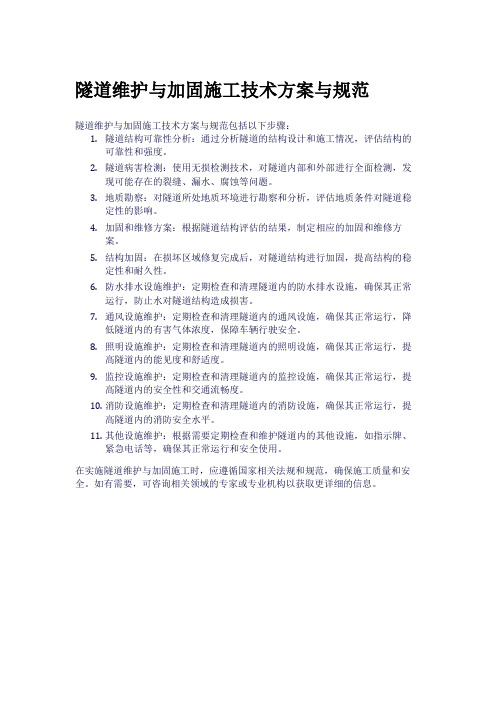 隧道维护与加固施工技术方案与规范