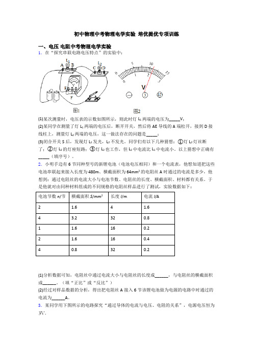 初中物理中考物理电学实验 培优提优专项训练