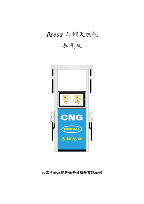 Dress 压缩天然气加气机