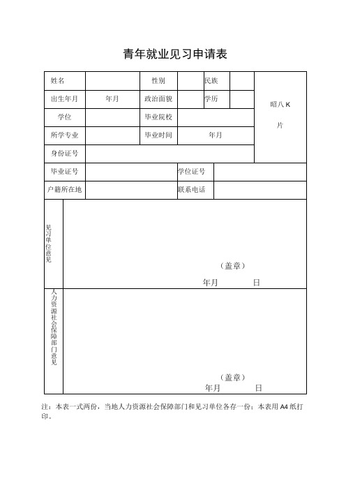 青年就业见习申请表