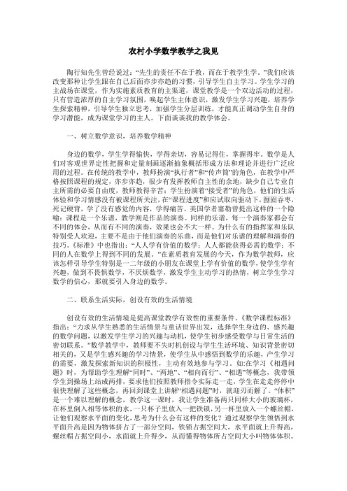 农村小学数学教学之我见