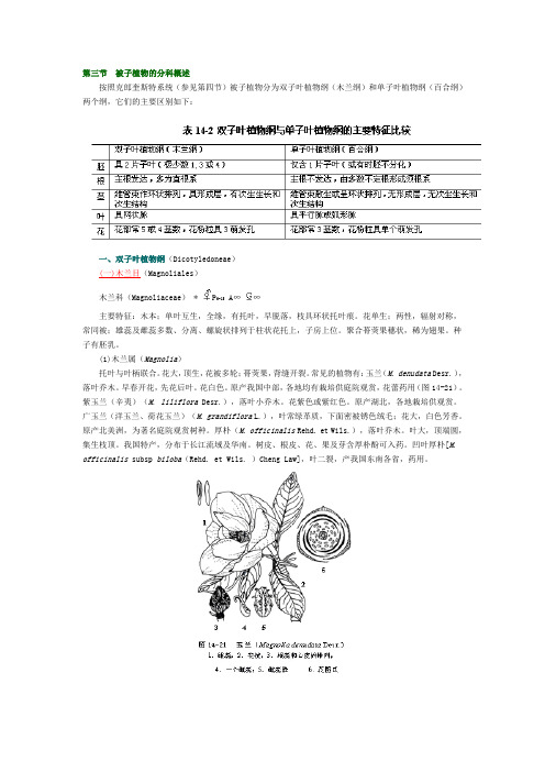 第三节被子植物的分科概述