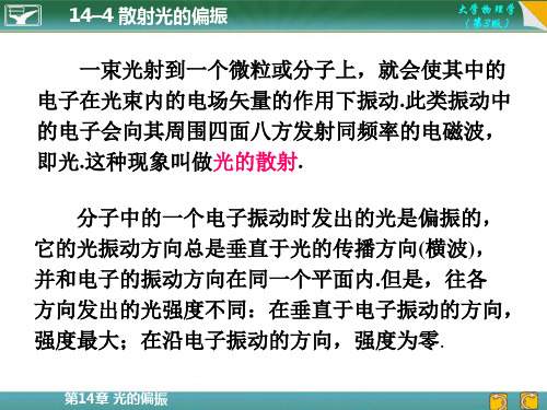 14-4  散射光的偏振